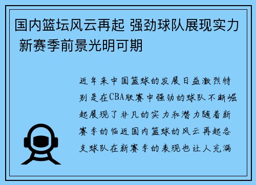 国内篮坛风云再起 强劲球队展现实力 新赛季前景光明可期